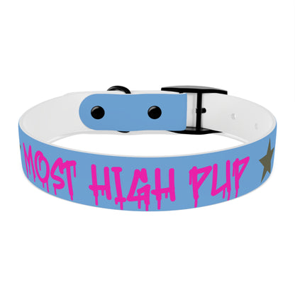 'Most High Pup' Blue Graphic Dog Collar — Stylish Urban Pet Accessory