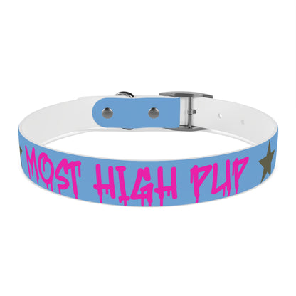 'Most High Pup' Blue Graphic Dog Collar — Stylish Urban Pet Accessory