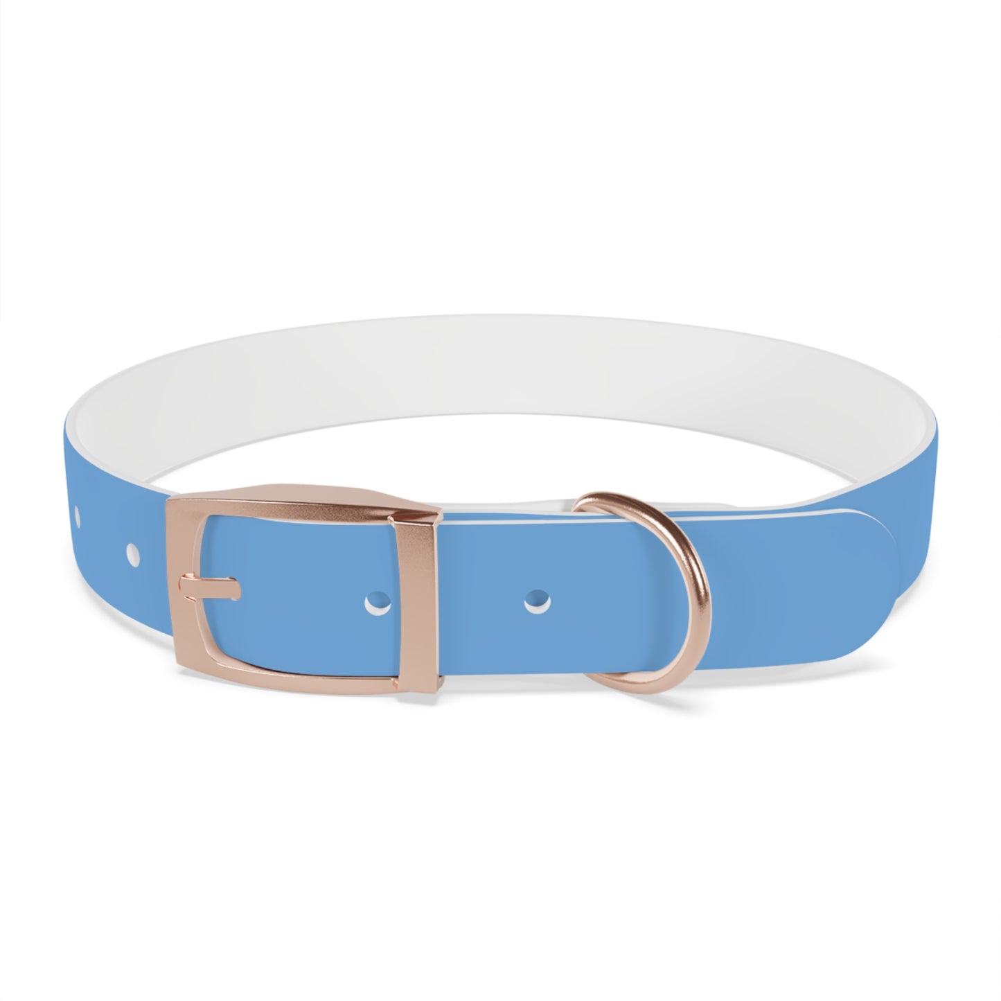 'Most High Pup' Blue Graphic Dog Collar — Stylish Urban Pet Accessory