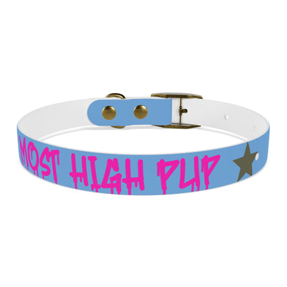 'Most High Pup' Blue Graphic Dog Collar — Stylish Urban Pet Accessory