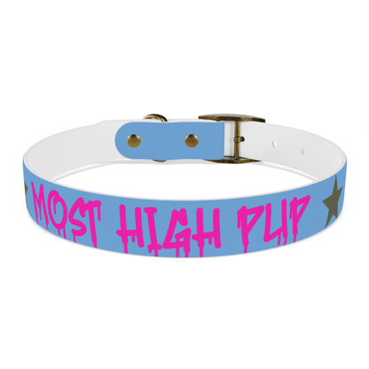 'Most High Pup' Blue Graphic Dog Collar — Stylish Urban Pet Accessory