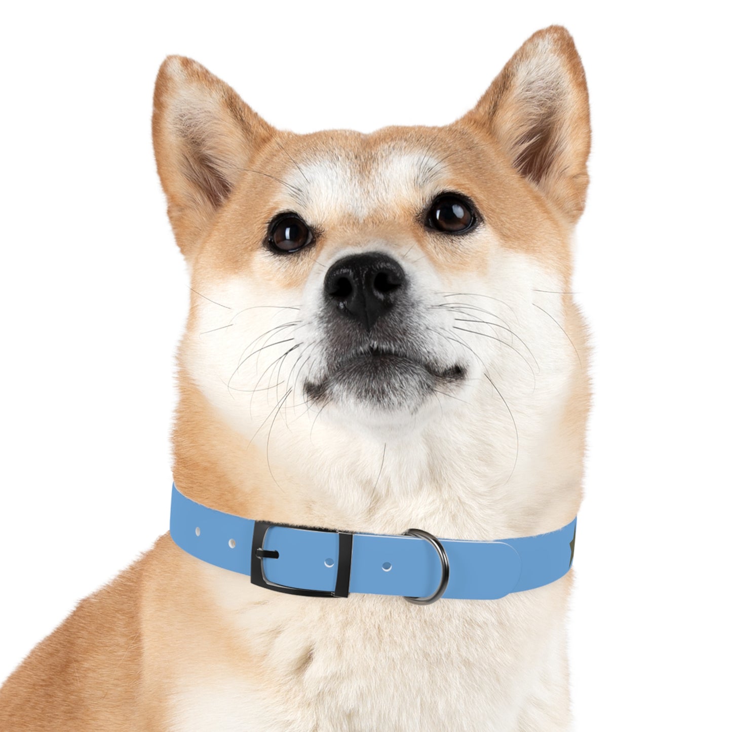 'Most High Pup' Blue Graphic Dog Collar — Stylish Urban Pet Accessory
