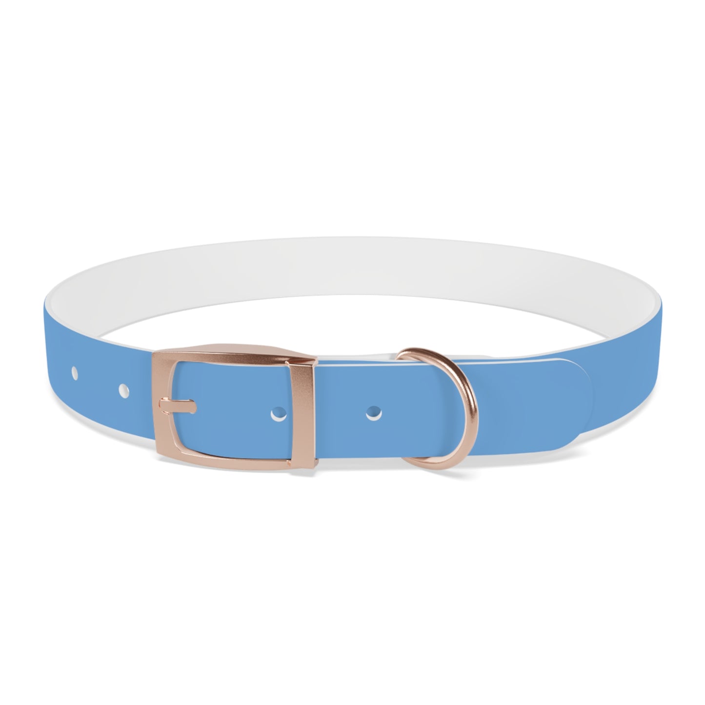 'Most High Pup' Blue Graphic Dog Collar — Stylish Urban Pet Accessory