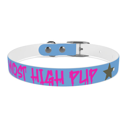 'Most High Pup' Blue Graphic Dog Collar — Stylish Urban Pet Accessory