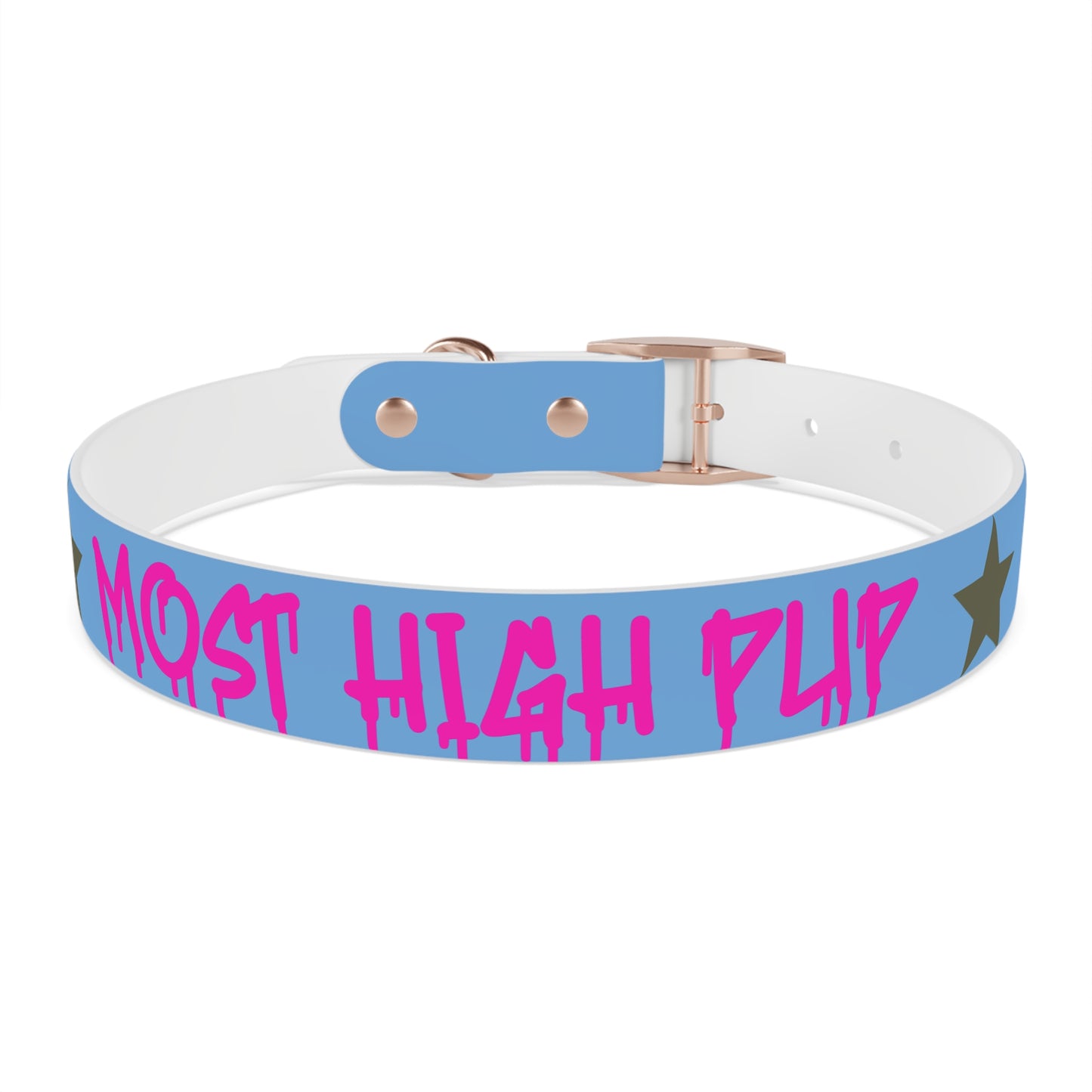 'Most High Pup' Blue Graphic Dog Collar — Stylish Urban Pet Accessory