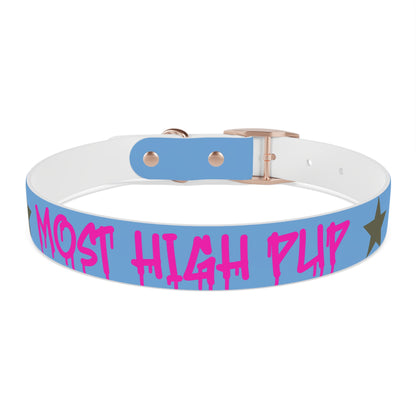 'Most High Pup' Blue Graphic Dog Collar — Stylish Urban Pet Accessory