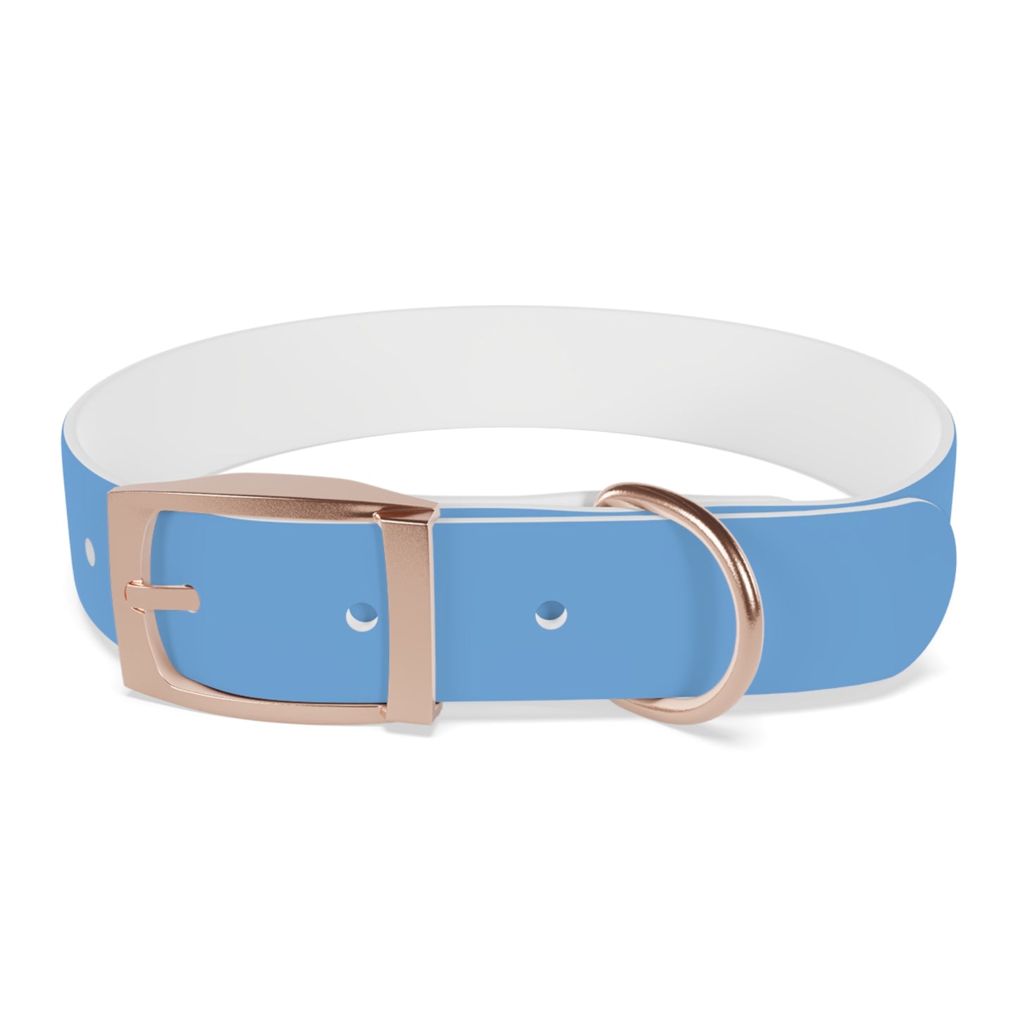 'Most High Pup' Blue Graphic Dog Collar — Stylish Urban Pet Accessory