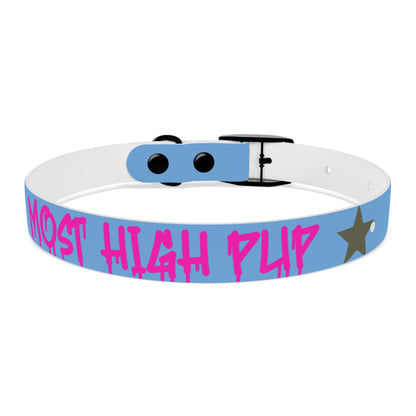 'Most High Pup' Blue Graphic Dog Collar — Stylish Urban Pet Accessory
