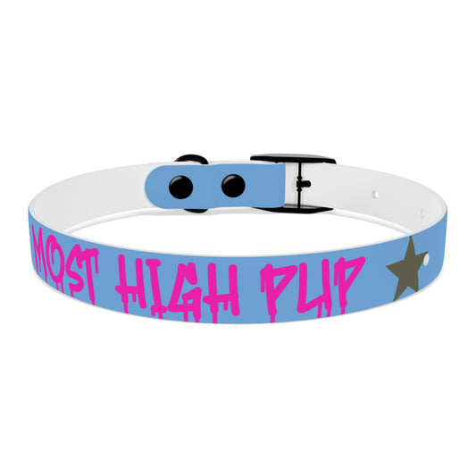 'Most High Pup' Blue Graphic Dog Collar — Stylish Urban Pet Accessory