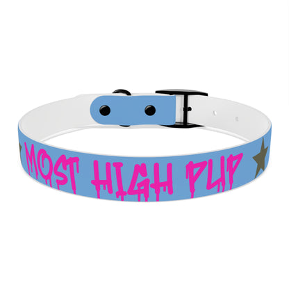 'Most High Pup' Blue Graphic Dog Collar — Stylish Urban Pet Accessory