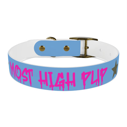 'Most High Pup' Blue Graphic Dog Collar — Stylish Urban Pet Accessory