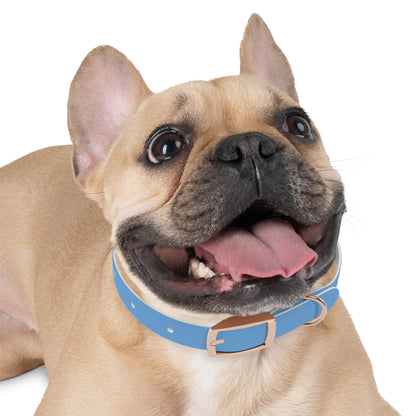 'Most High Pup' Blue Graphic Dog Collar — Stylish Urban Pet Accessory