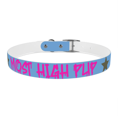 'Most High Pup' Blue Graphic Dog Collar — Stylish Urban Pet Accessory