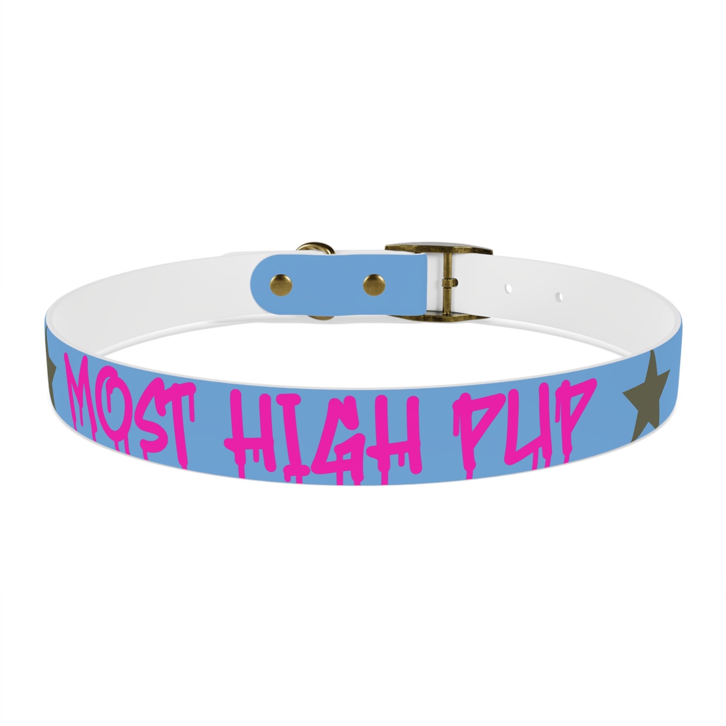 'Most High Pup' Blue Graphic Dog Collar — Stylish Urban Pet Accessory