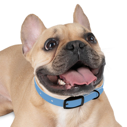 'Most High Pup' Blue Graphic Dog Collar — Stylish Urban Pet Accessory