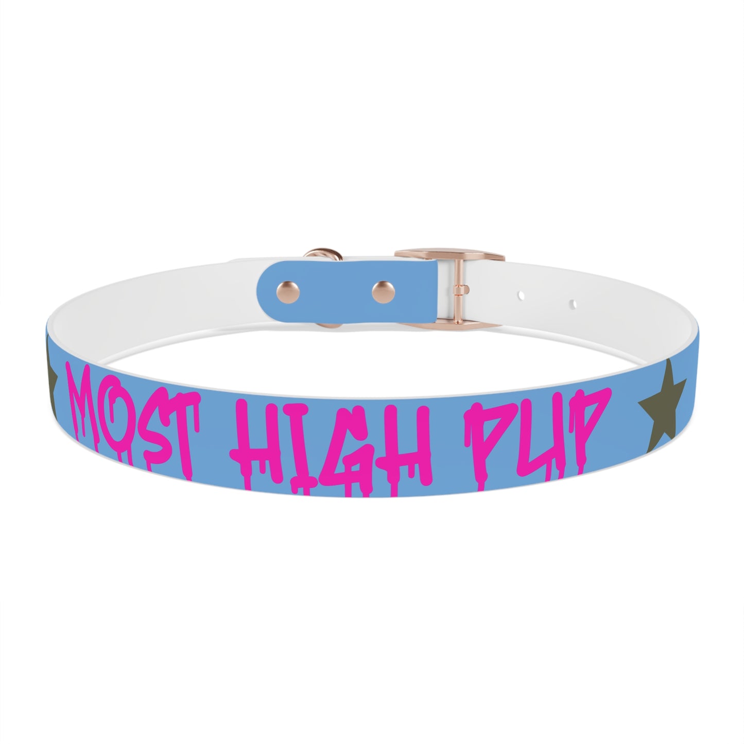 'Most High Pup' Blue Graphic Dog Collar — Stylish Urban Pet Accessory