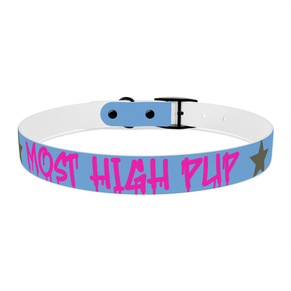 'Most High Pup' Blue Graphic Dog Collar — Stylish Urban Pet Accessory